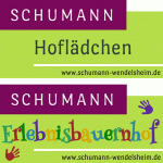 Logo Schumann Wendelsheim_logo